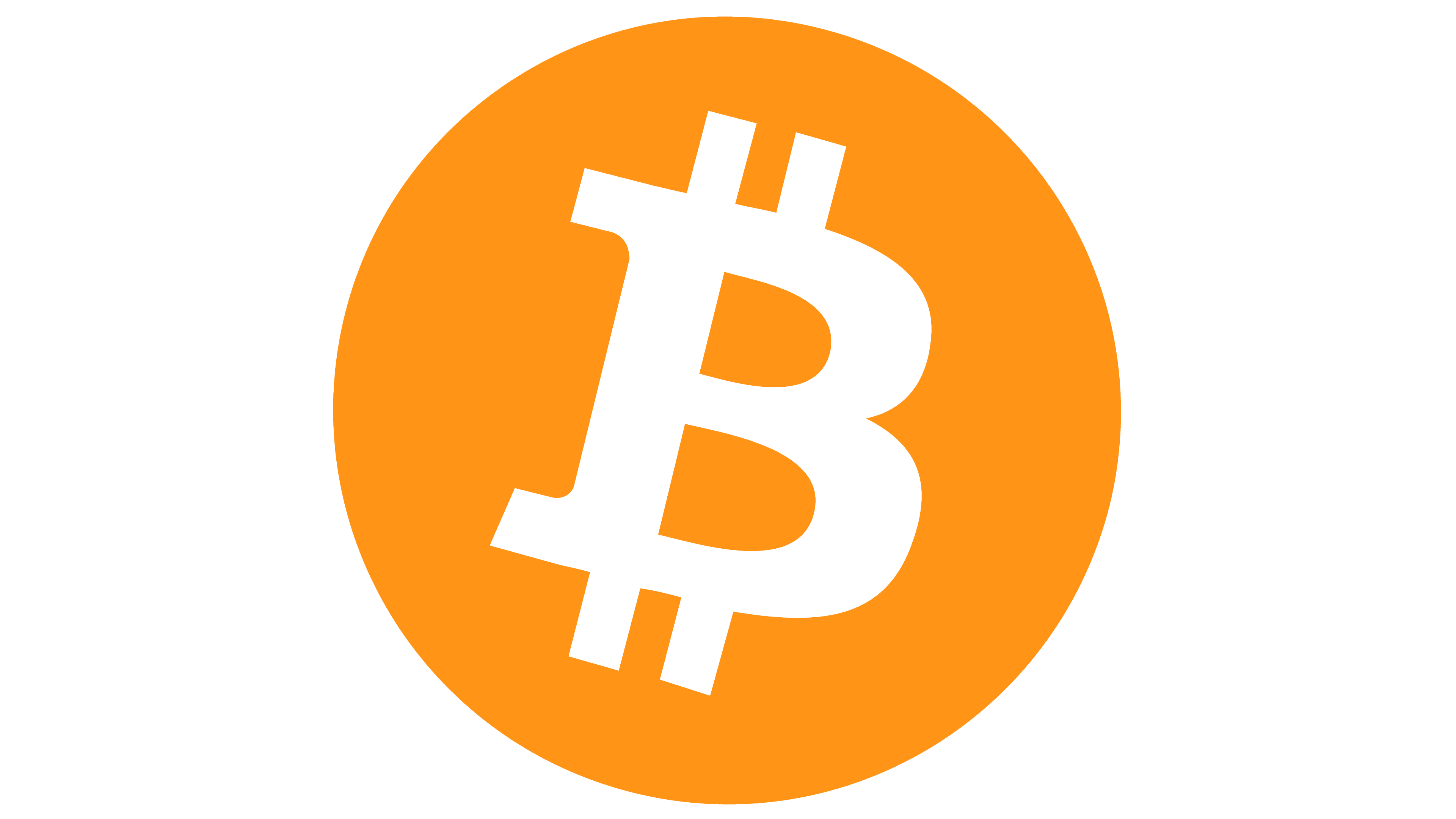 bitcoin icon